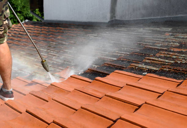 Best Residential Pressure Washing Services  in Island City, OR